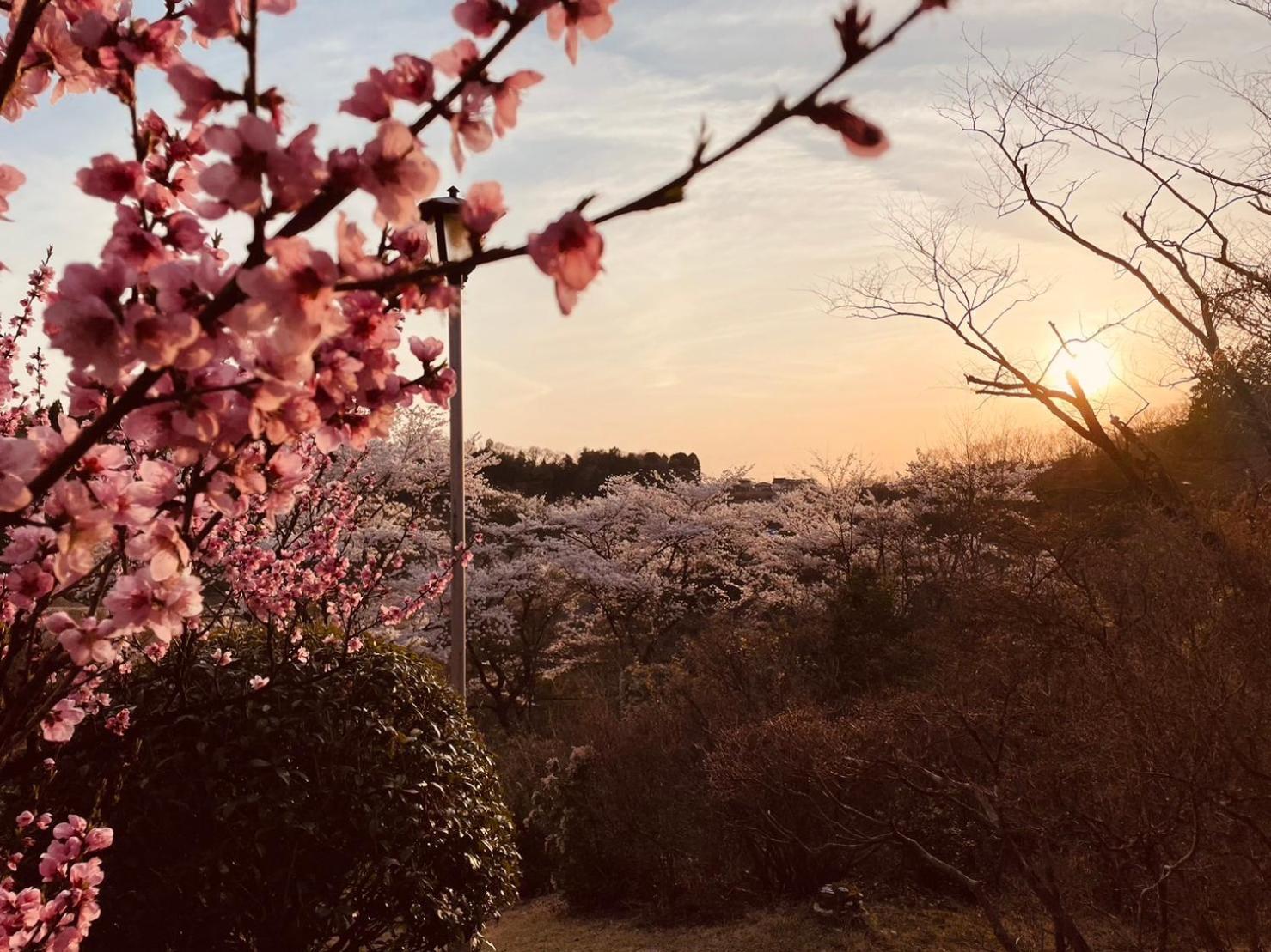 Granping ng が mi no Du Hotel Nakatsugawa Exterior photo